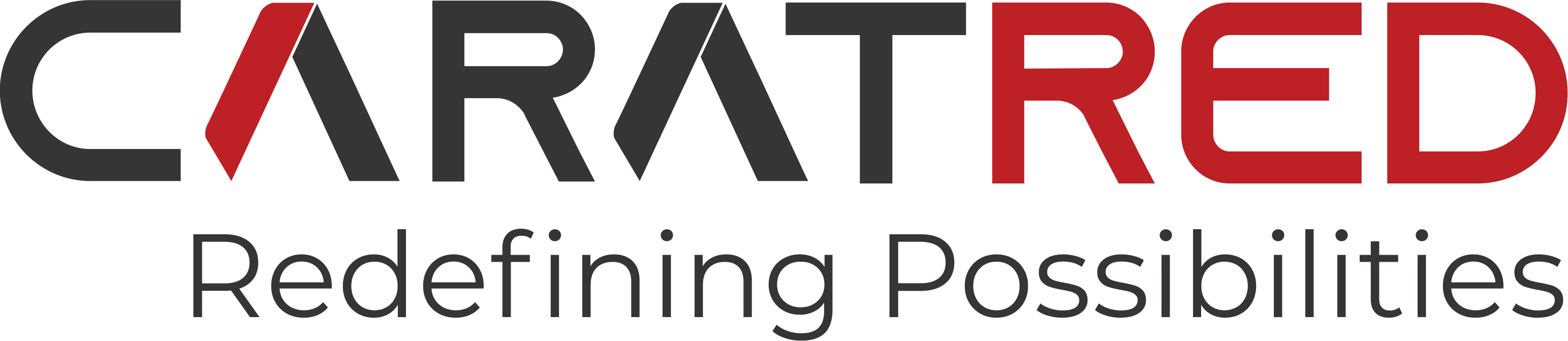 Partner Logo 2