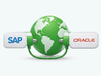 50+ ERP connectors